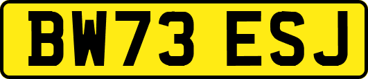BW73ESJ