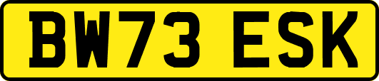 BW73ESK