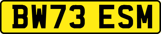 BW73ESM