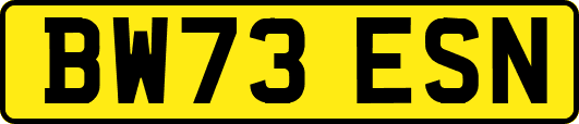 BW73ESN