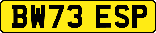 BW73ESP