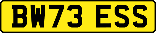 BW73ESS