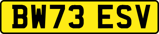 BW73ESV