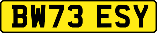 BW73ESY