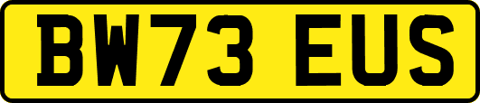 BW73EUS