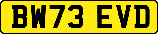 BW73EVD