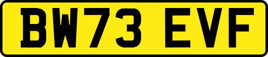 BW73EVF