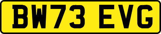 BW73EVG