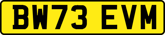 BW73EVM