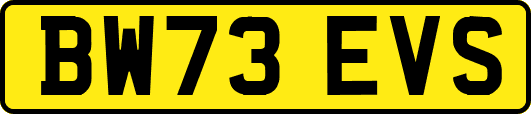 BW73EVS