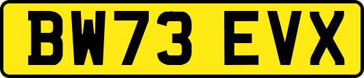 BW73EVX
