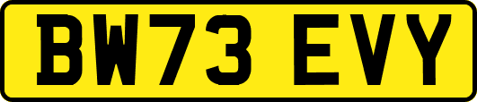 BW73EVY