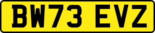 BW73EVZ