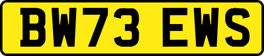 BW73EWS