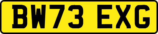 BW73EXG