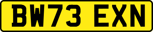 BW73EXN