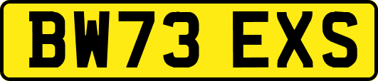 BW73EXS