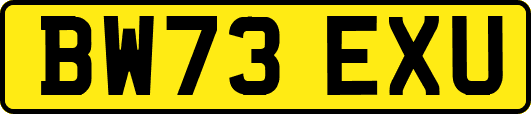 BW73EXU