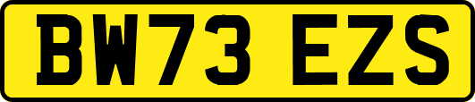 BW73EZS