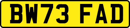 BW73FAD