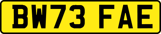 BW73FAE