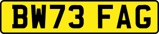 BW73FAG