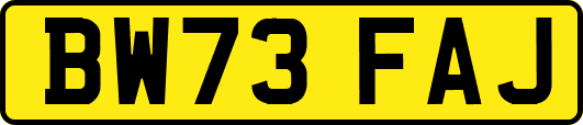 BW73FAJ