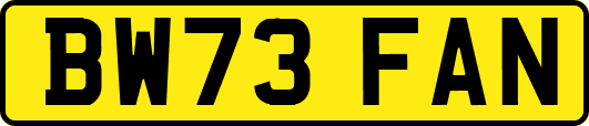 BW73FAN