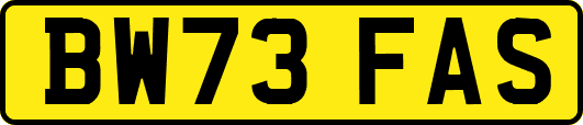 BW73FAS