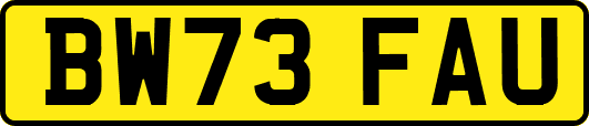 BW73FAU