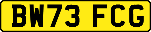 BW73FCG