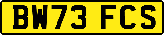 BW73FCS