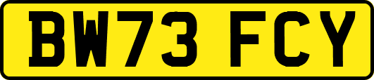 BW73FCY