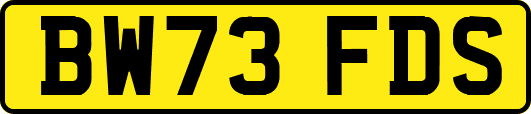 BW73FDS