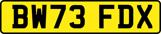 BW73FDX