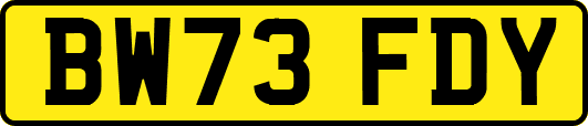 BW73FDY