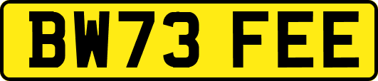 BW73FEE