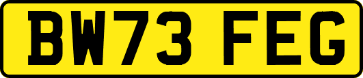 BW73FEG