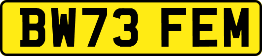 BW73FEM