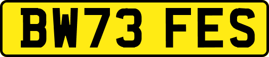 BW73FES