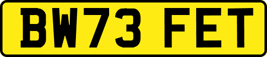 BW73FET