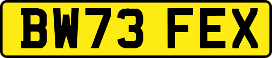 BW73FEX