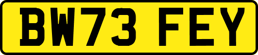 BW73FEY