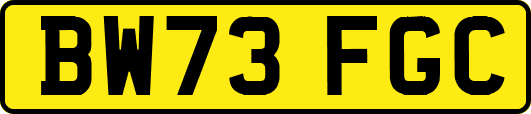 BW73FGC