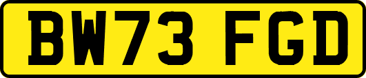 BW73FGD