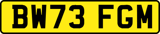 BW73FGM