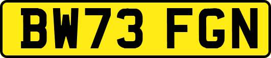 BW73FGN