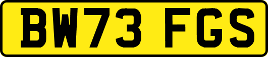 BW73FGS