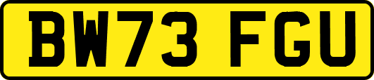 BW73FGU