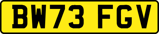 BW73FGV